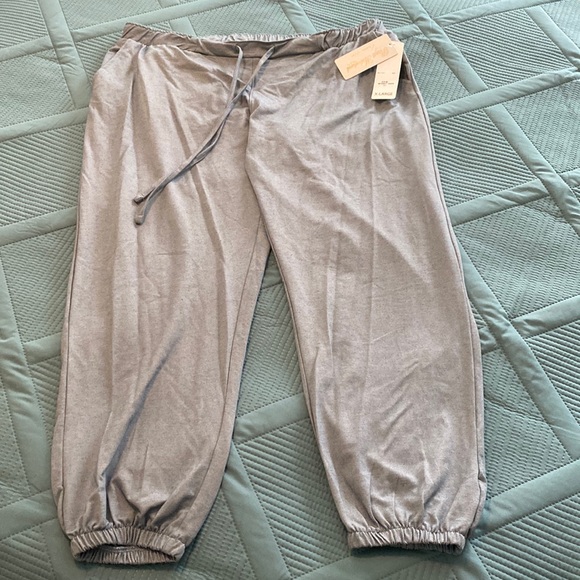 Planet Motherhood Pants - NWT ladies Planet Motherhood maternity joggers size XL